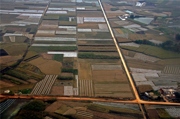 土壤水分速測儀在西瓜種植上的應(yīng)用 土壤水分速測儀在西瓜種植上的應(yīng)用