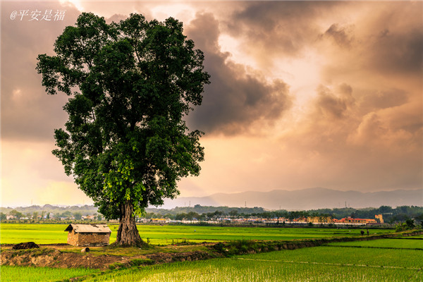 土壤水分速測(cè)儀主要有哪些優(yōu)點(diǎn)？