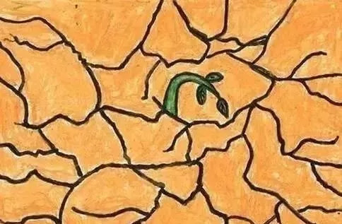 土壤水分流失 土壤水分流失