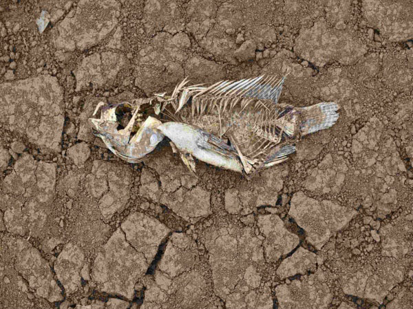 安裝土壤墑情自動監(jiān)測系統(tǒng)的意義在哪里？