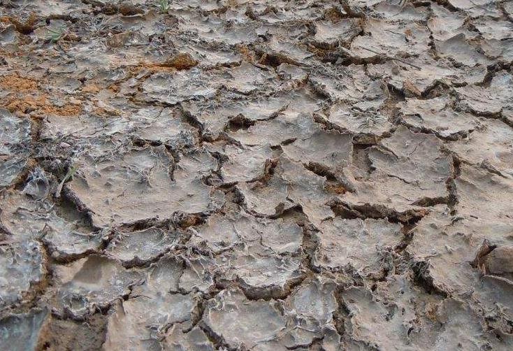 土壤墑情監(jiān)測系統(tǒng)在物聯(lián)網(wǎng)浪潮下的升級換代 土壤墑情監(jiān)測系統(tǒng)在物聯(lián)網(wǎng)浪潮下的升級換代