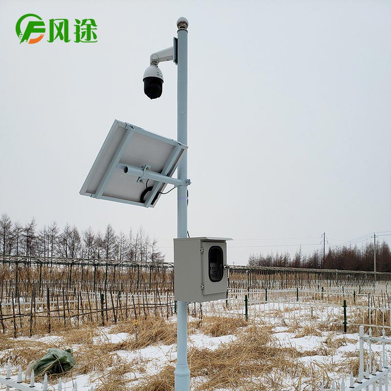 1602810373640111.jpg FT-LORA (2).jpg