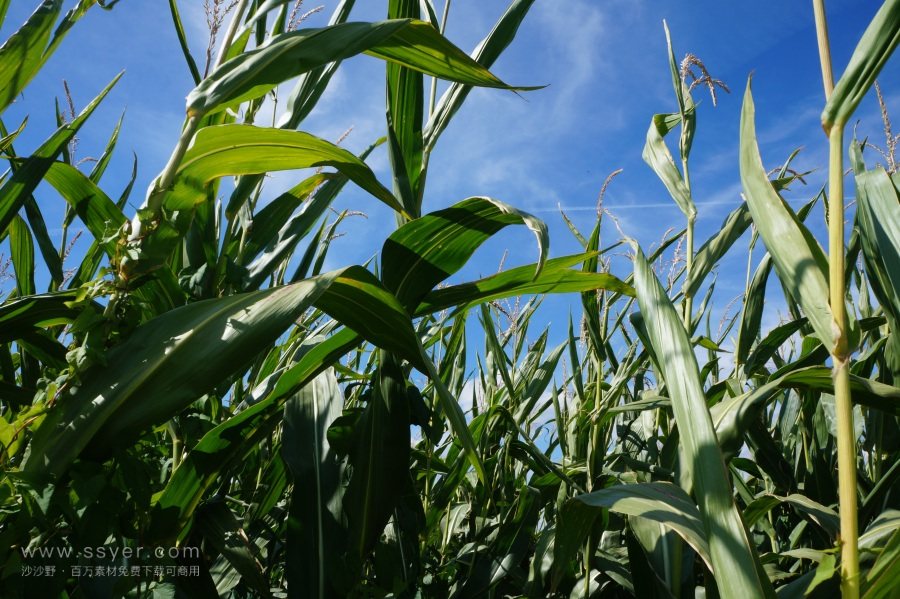 農(nóng)業(yè)節(jié)水，如何用科技支撐？